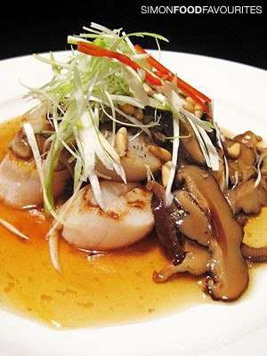 Banana Palm - Northern Rivers Accommodation 0