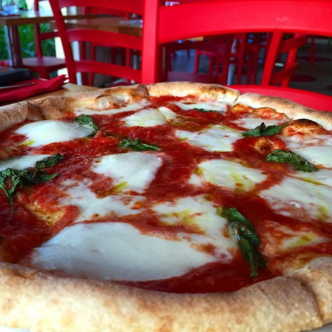Rosso Pomodoro - Balmain - Northern Rivers Accommodation 0