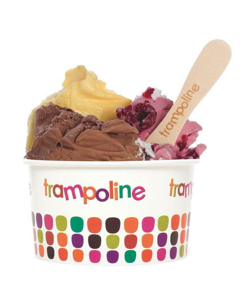 Trampoline Gelato - Doncaster - Northern Rivers Accommodation 0
