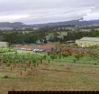 Villa d Esta Vineyard - Northern Rivers Accommodation