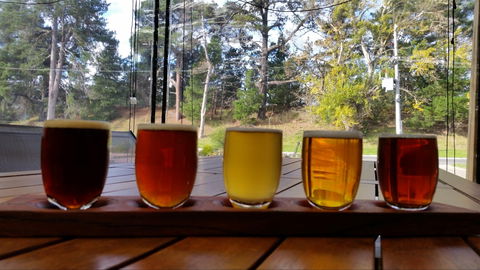 Cubby Haus Brewing - Brewery And Bar - Northern Rivers Accommodation 1