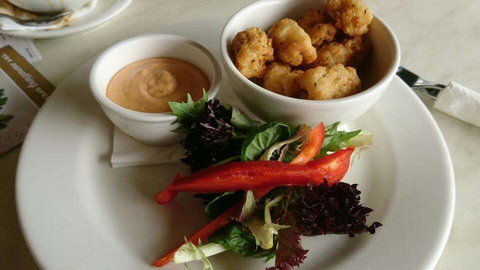 Dome - Subiaco - Northern Rivers Accommodation 0