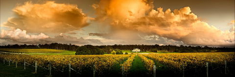 Fraser Gallop Estate - Northern Rivers Accommodation 0