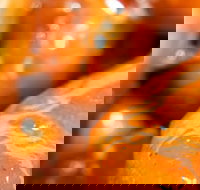 Morish Nuts - Northern Rivers Accommodation