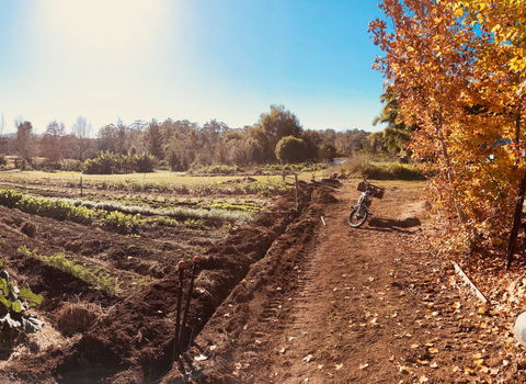 Synchronicity Farm - Northern Rivers Accommodation 1