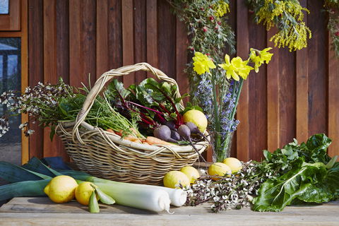 O'Reilly's Orchard - Northern Rivers Accommodation 1