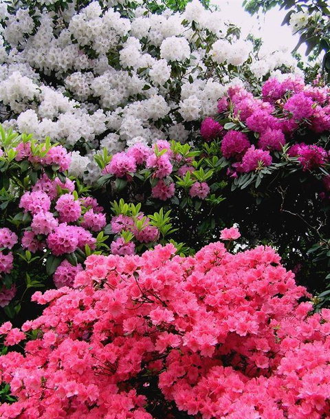 Bluebush Cafe - Northern Rivers Accommodation 12