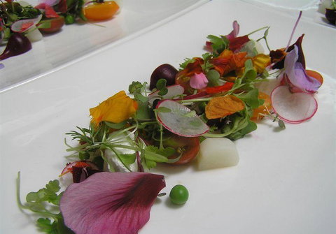 Bluebush Cafe - Northern Rivers Accommodation 13