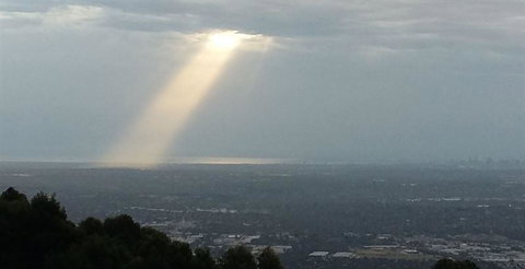 Bluebush Cafe - Northern Rivers Accommodation 26