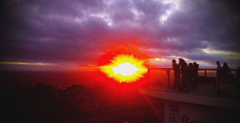 Bluebush Cafe - Northern Rivers Accommodation 28