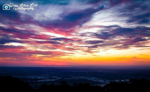 Bluebush Cafe - Northern Rivers Accommodation 29