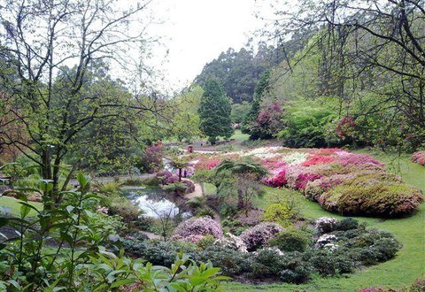 Bluebush Cafe - Northern Rivers Accommodation 7