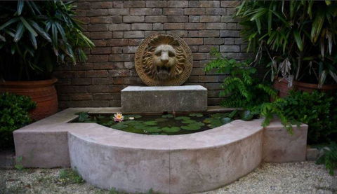 Vietnamese Saigon Star - Northern Rivers Accommodation 3