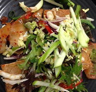 Afghan Marco Polo - Northern Rivers Accommodation