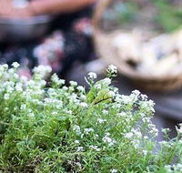 Harvest - Northern Rivers Accommodation