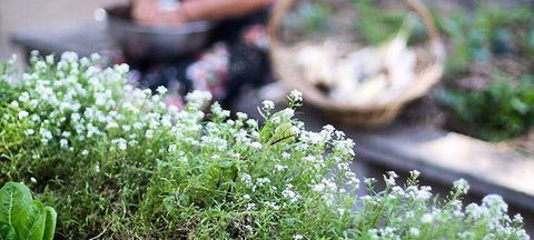 Harvest - Northern Rivers Accommodation 0