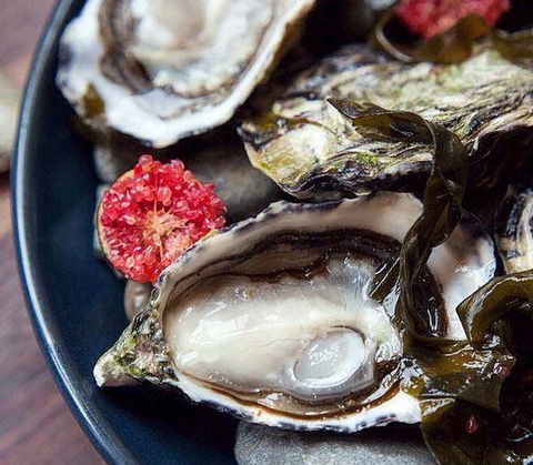 Harvest - Northern Rivers Accommodation 9