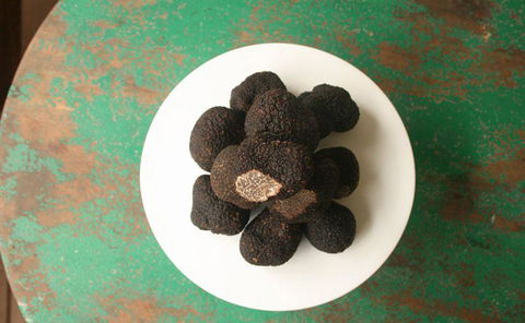 Harvest - Northern Rivers Accommodation 10