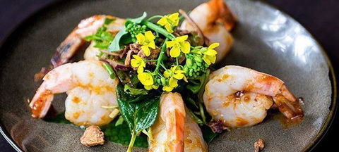 Itoshin Japanese Restaurant - Northern Rivers Accommodation 2