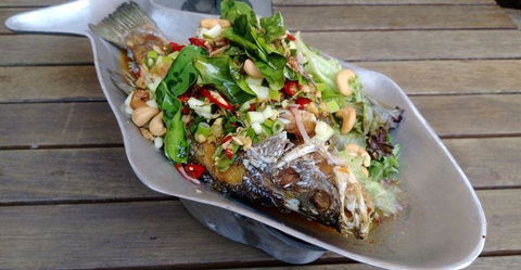 Itoshin Japanese Restaurant - Northern Rivers Accommodation 8