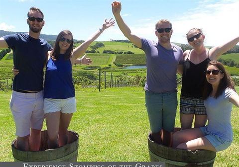 Oak Room Eleven - Northern Rivers Accommodation 10