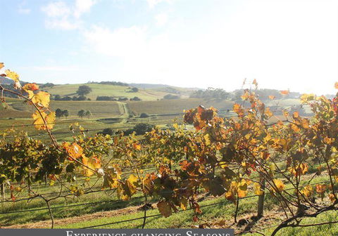 Oak Room Eleven - Northern Rivers Accommodation 6