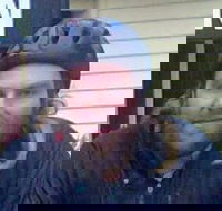 Silver Palace - Northern Rivers Accommodation