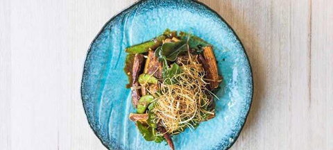 The Groove Train - Northern Rivers Accommodation 6