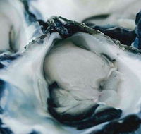 Wheelers Seafood Restaurant - Northern Rivers Accommodation