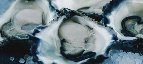 Wheelers Seafood Restaurant - Northern Rivers Accommodation 0