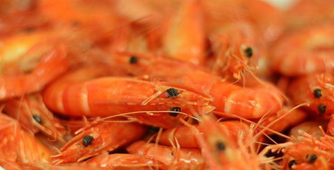 Wheelers Seafood Restaurant - Northern Rivers Accommodation 27