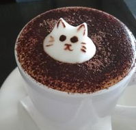 Cafe 2340 - Northern Rivers Accommodation