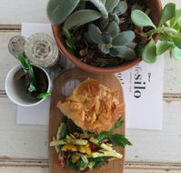 Cafe Silo - Northern Rivers Accommodation
