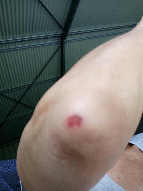 Bruno's Bne - Northern Rivers Accommodation 2