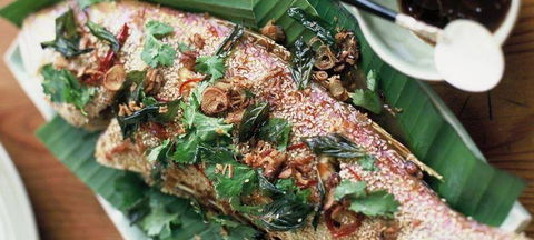 Fresh - Natural Asian - Northern Rivers Accommodation 1