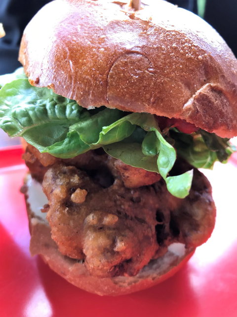 Miss Kay's Mitchelton - Northern Rivers Accommodation 3