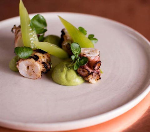 Henry Sugar - Northern Rivers Accommodation 16