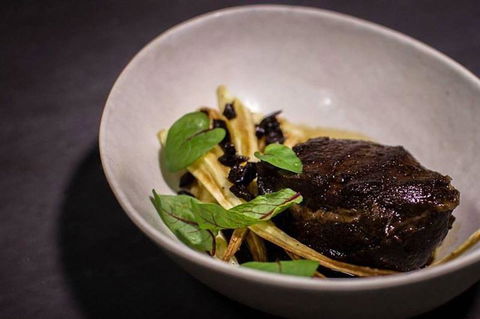 Henry Sugar - Northern Rivers Accommodation 4