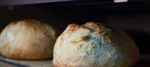 Henry Sugar - Northern Rivers Accommodation 5