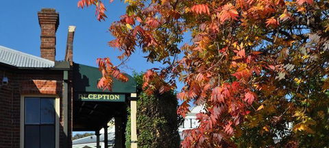 Phoebe's @ Ten Dollar Town Motel - Northern Rivers Accommodation 1