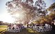 Broads Restaurant At Upper Reach Winery - thumb 11