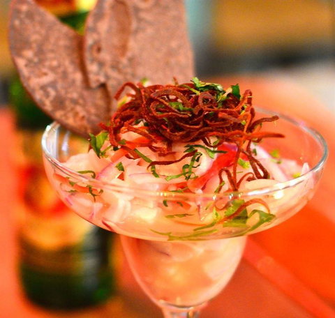 Tacocat - Northern Rivers Accommodation 0