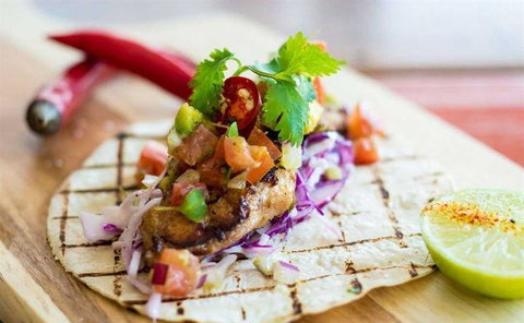 Tacocat - Northern Rivers Accommodation 10