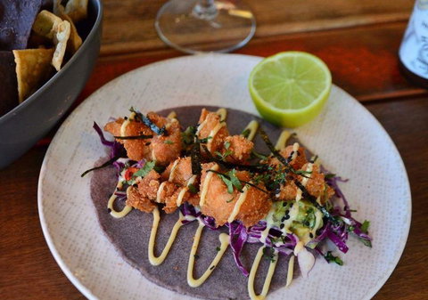 Tacocat - Northern Rivers Accommodation 1