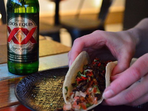 Tacocat - Northern Rivers Accommodation 2