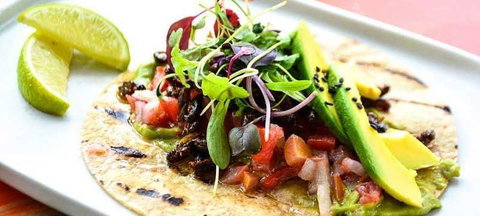 Tacocat - Northern Rivers Accommodation 6