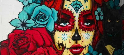 Tacocat - Northern Rivers Accommodation 7