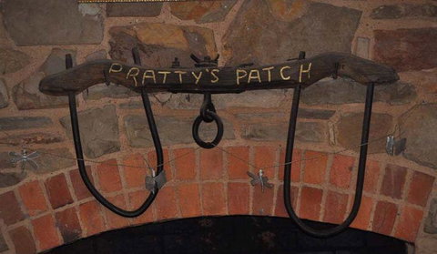 Pratty's Patch - Northern Rivers Accommodation 8