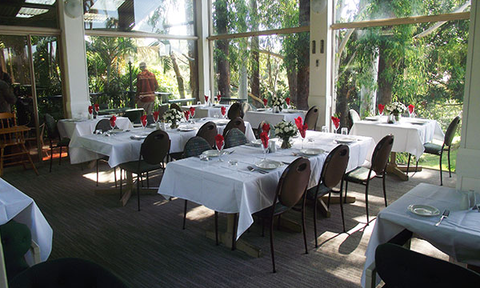 Coffs Harbour Sanctuary Resort Restaurant - Northern Rivers Accommodation 1