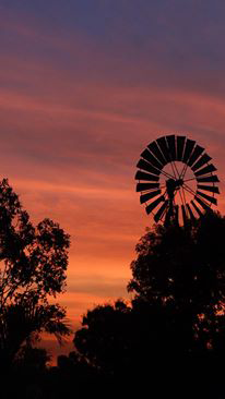 Emerald Springs Roadhouse - Northern Rivers Accommodation 4